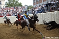 VBS_1163 - Palio di Asti 2024